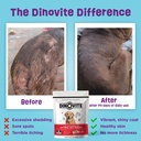 dinovite-probiotic-supplement-for-dogs-o-3.jpg