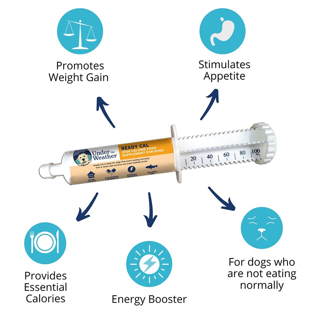 under-the-weather-pet-ready-cal-for-dogs-3.jpg