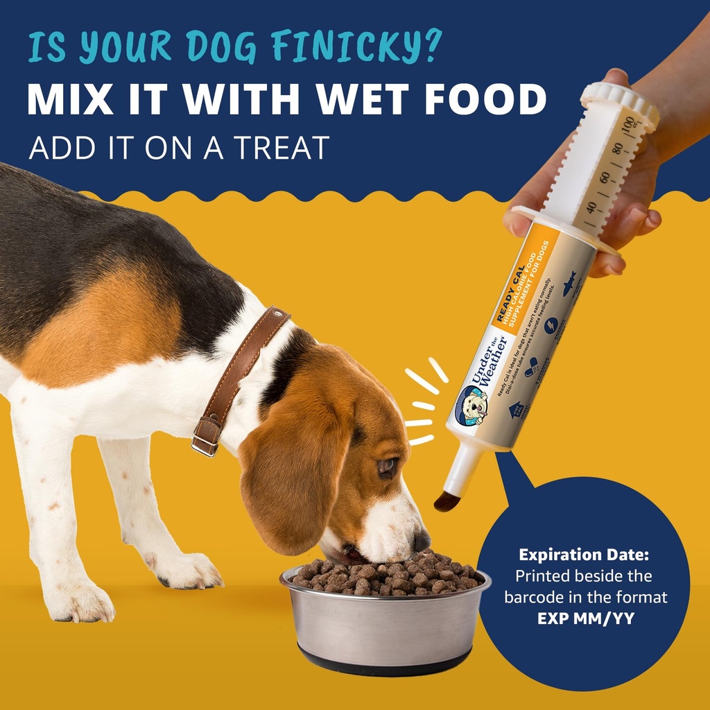 under-the-weather-pet-ready-cal-for-dogs-5.jpg