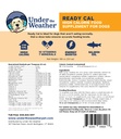 under-the-weather-pet-ready-cal-for-dogs-2.jpg