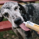 under-the-weather-pet-ready-cal-for-dogs-6.jpg