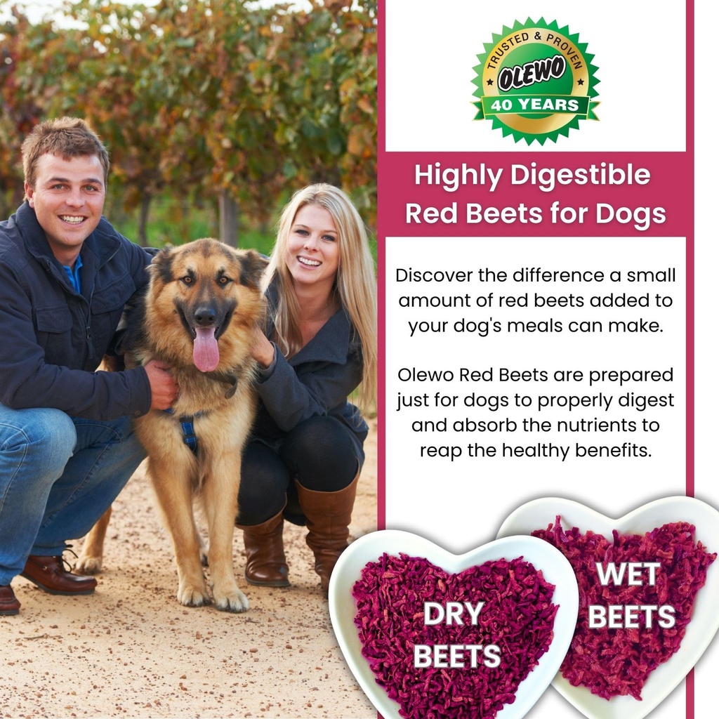 olewo-original-red-beets-for-dogs-intern-4.jpg