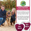 olewo-original-red-beets-for-dogs-intern-4.jpg