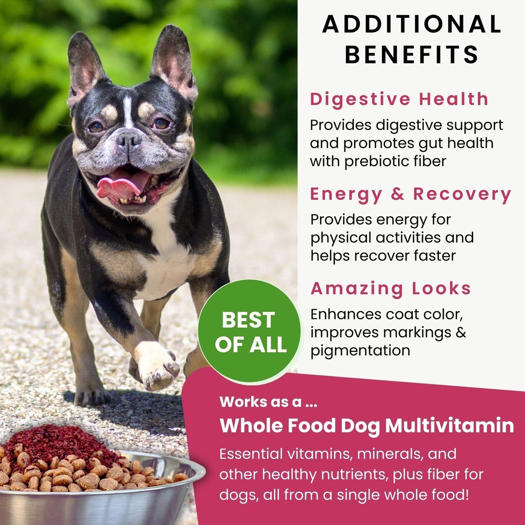 olewo-original-red-beets-for-dogs-intern-6.jpg