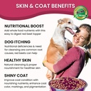 olewo-original-red-beets-for-dogs-intern-5.jpg