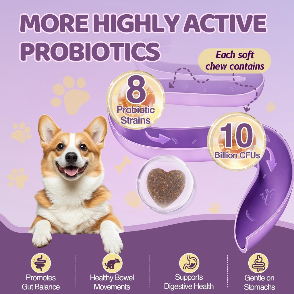 probiotics-for-dogs-with-feeding-tweezer-2.jpg