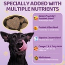 probiotics-for-dogs-with-feeding-tweezer-3.jpg