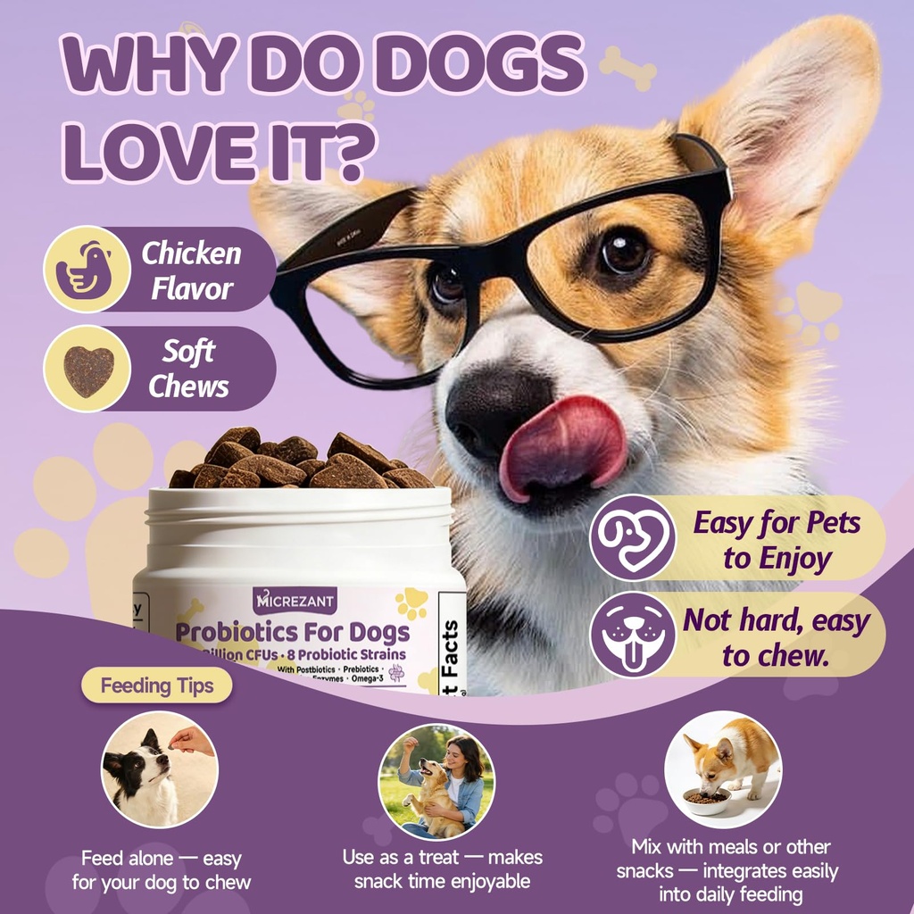 probiotics-for-dogs-with-feeding-tweezer-6.jpg