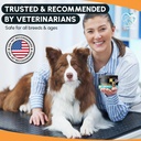 dog-probiotics-and-enzymes-for-digestive-6.jpg