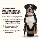 immune-support-for-dogs-antioxidant-prot-2.jpg