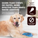 immune-support-for-dogs-antioxidant-prot-5.jpg