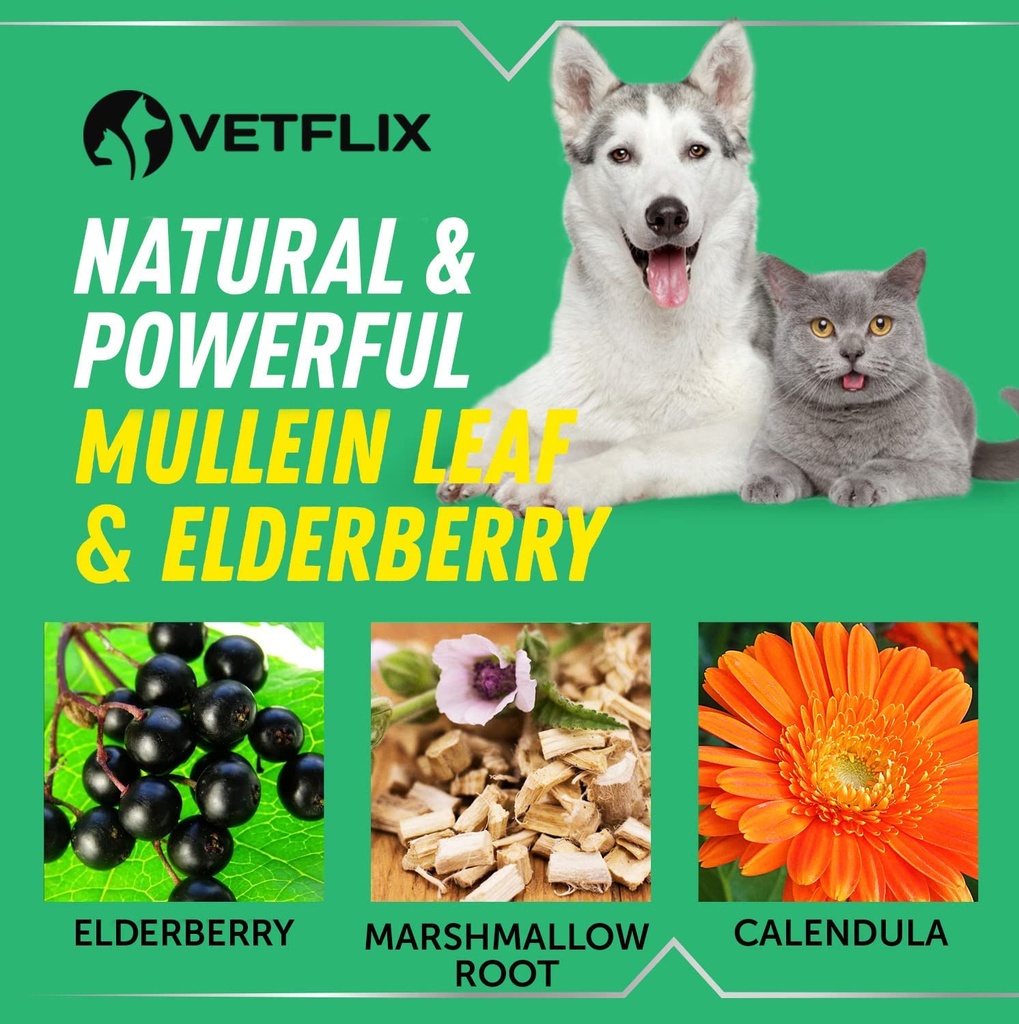cough-relief-for-dogs-cats-puppies-and-k-6.jpg
