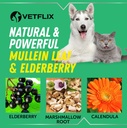 cough-relief-for-dogs-cats-puppies-and-k-6.jpg
