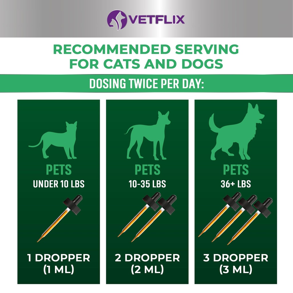 cough-relief-for-dogs-cats-puppies-and-k-3.jpg