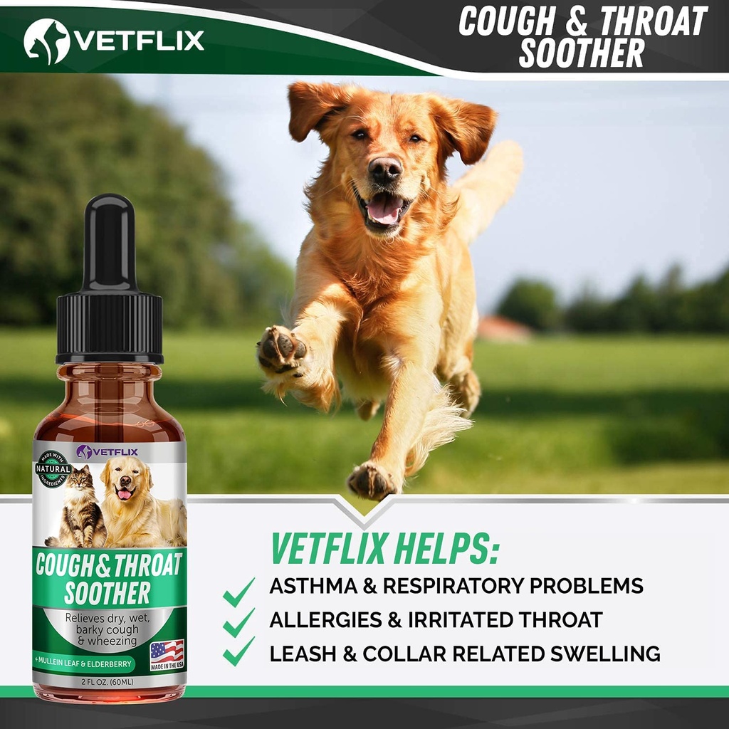 cough-relief-for-dogs-cats-puppies-and-k-4.jpg