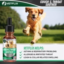 cough-relief-for-dogs-cats-puppies-and-k-4.jpg