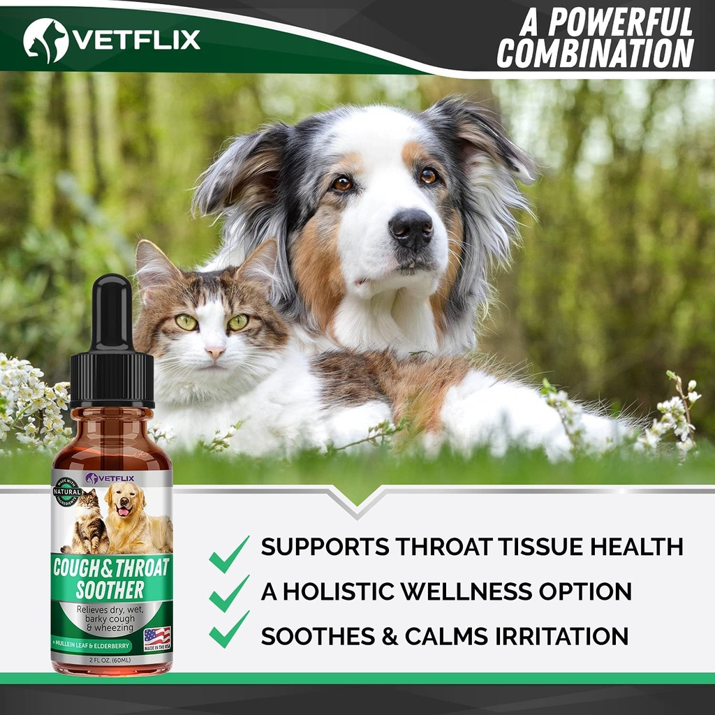 cough-relief-for-dogs-cats-puppies-and-k-5.jpg