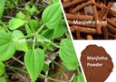organic-aura-premium-pure-manjistha-powd-4.jpg