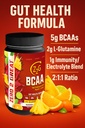 z2g-bcaa-powder-summer-punch-splash-gut--5.jpg
