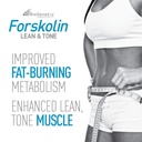 isatori-l-carnitine-ls3-mixed-berry-1500-3.jpg