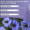 purely-ethiopian-black-seed-oil-capsules-4.jpg