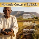 ethiopian-black-seed-oil-non-gmo-gluten--5.jpg