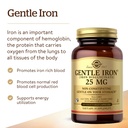 solgar-gentle-iron-25mg-90-vegetable-cap-3.jpg