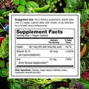 plantfusion-vegan-iron-supplements-from--5.jpg