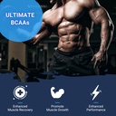 gaspari-nutrition-aminomax-8000-advanced-5.jpg