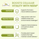 organic-veda-neem-capsules-herbal-supple-4.jpg