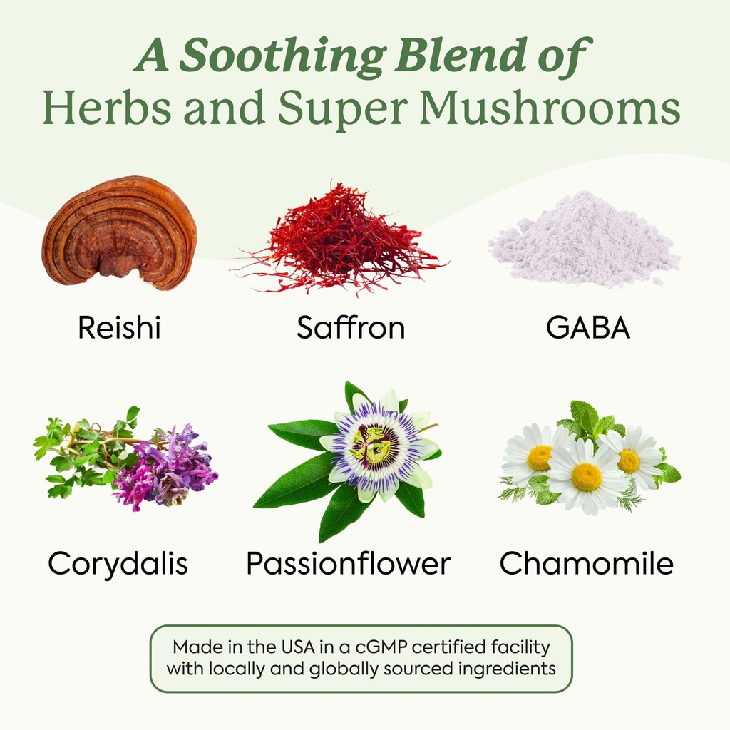 plant-people-wondersleep-mushroom-gummie-3.jpg