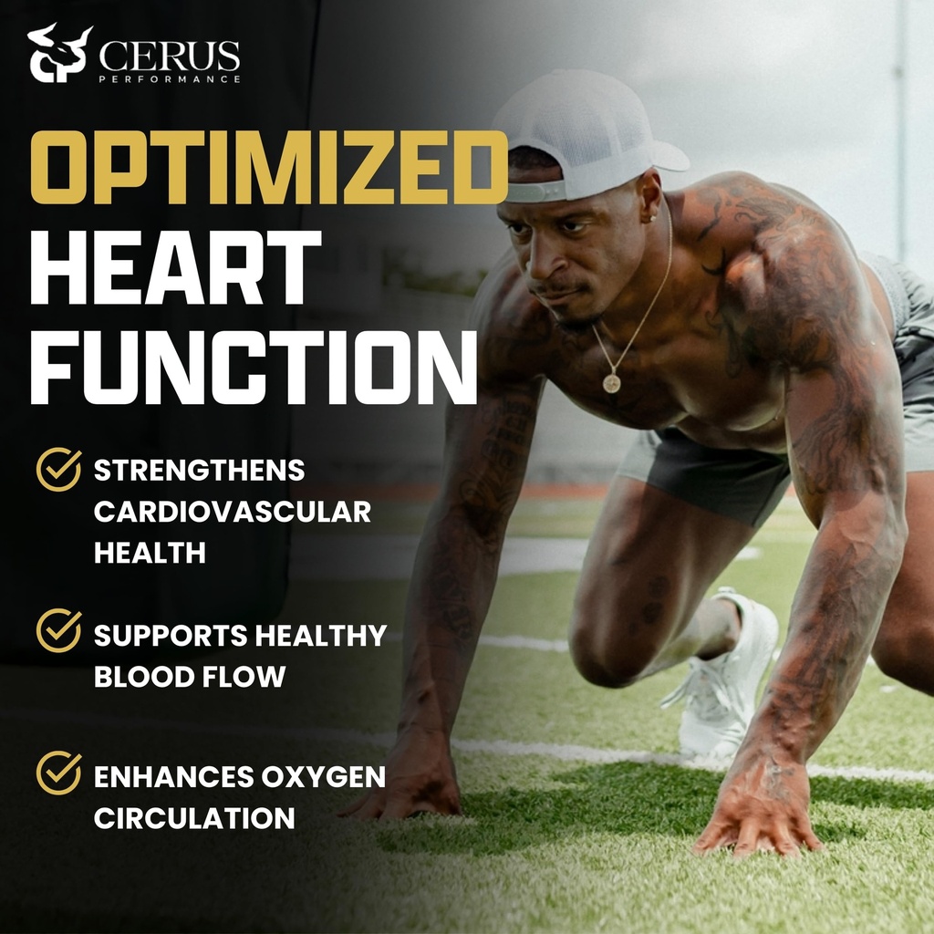 cerus-performance-flow-stimulant-free-en-4.jpg