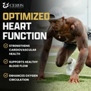 cerus-performance-flow-stimulant-free-en-4.jpg
