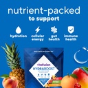 vitafusion-hydraboost-drink-powder-packe-3.jpg