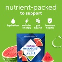 vitafusion-hydraboost-drink-powder-packe-3.jpg