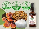 lions-mane-reishi-turkey-tail-mushroom-s-2.jpg