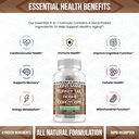 stamiron-lions-mane-supplement-turkey-ta-4.jpg