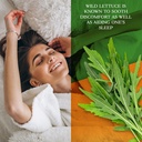 parker-naturals-wild-lettuce-extract-cal-4.jpg