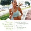 irwin-naturals-extra-energy-thermo-fuel--3.jpg