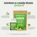 herbsforever-gurmar-gymnema-sylvestre-ca-4.jpg