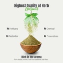herbsforever-gurmar-gymnema-sylvestre-ca-5.jpg