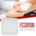 healqu-island-dressing-4-x4-30-count-bor-6.jpg