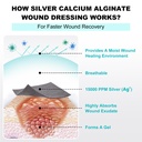 ag-silver-calcium-alginate-wound-dressin-5.jpg