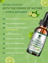 citrus-bergamot-soursop-liquid-drops-wit-5.jpg