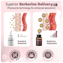 berberine-phytosome-550mg-60-capsules-wi-3.jpg