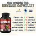 berberine-ceylon-cinnamon-turmeric-milk--5.jpg