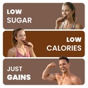 protiwise-choc-a-lot-chip-high-protein-1-5.jpg
