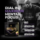hosstile-hosstility-amped-high-stim-pre--4.jpg