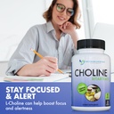 premium-choline-500-mg-120-veggie-capsul-3.jpg