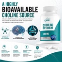 leaping-lynx-citicoline-1000-mg-cdp-chol-5.jpg